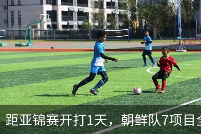 距亚锦赛开打1天，朝鲜队7项目全退赛，原因成谜